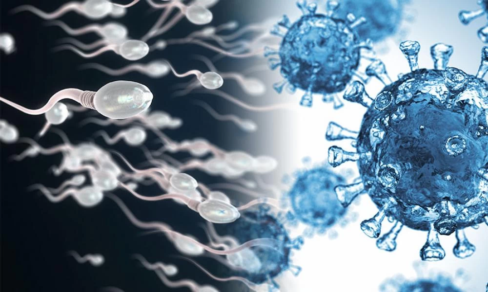 Εμβόλιο: Τι έδειξε μελέτη για τα mRNA και την εξωσωματική γονιμοποίηση